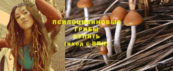 бошки Алексин
